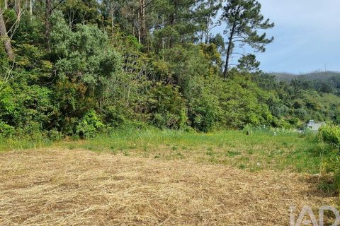 Helårsgrund i Coimbra, Coimbra, Coimbra - € 68.000 | Ref: 880361 - foto 21