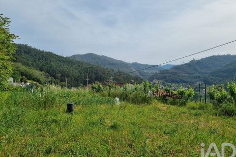 Helårsgrund i Coimbra, Coimbra, Coimbra - € 68.000 | Ref: 880361 - foto 22