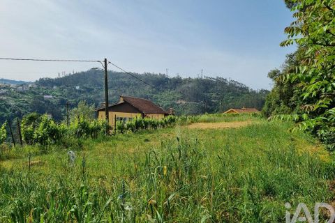 Helårsgrund i Coimbra, Coimbra, Coimbra - € 68.000 | Ref: 880361 - foto 28