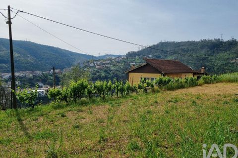Helårsgrund i Coimbra, Coimbra, Coimbra - € 68.000 | Ref: 880361 - foto 29