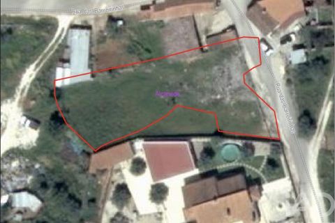Terra a Santarem, Santarem, Santarem - € 19.000 | Ref: 954296 - foto 2