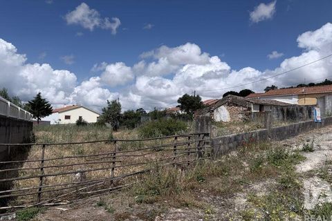 Terra a Santarem, Santarem, Santarem - € 19.000 | Ref: 954296 - foto 3