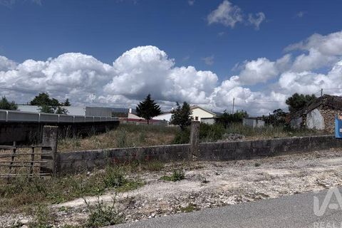 Terra a Santarem, Santarem, Santarem - € 19.000 | Ref: 954296 - foto 5