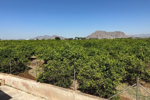 Byhus i Benejuzar, Alicante, Benejuzar - € 140.000 | Ref: AG19MLSC5764976 - foto 18