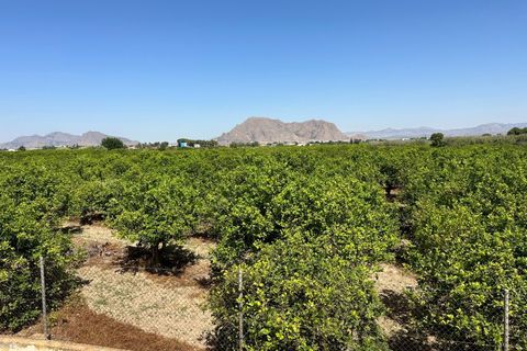 Byhus i Benejuzar, Alicante, Benejuzar - € 140.000 | Ref: AG19MLSC5764976 - foto 21
