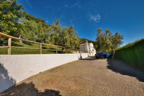 Villa i Zahara De La Sierra, Cadiz - foto 3