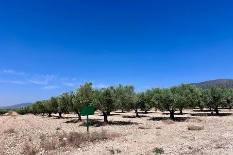 Helårsgrund i Monovar, Alicante, Monovar - € 79.995 | Ref: 61138 - foto 4