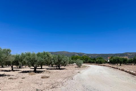 Helårsgrund i Monovar, Alicante, Monovar - € 79.995 | Ref: 61138 - foto 7