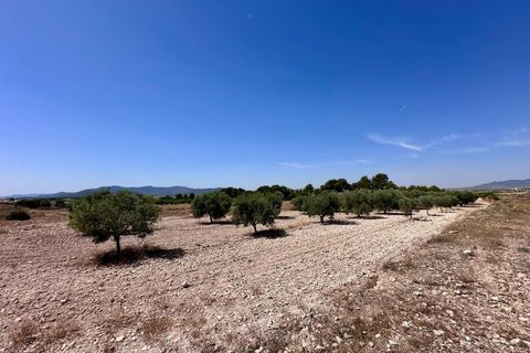 Helårsgrund i Monovar, Alicante, Monovar - € 79.995 | Ref: 61138 - foto 9