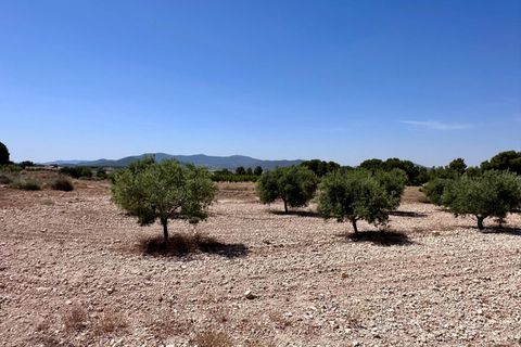 Helårsgrund i Monovar, Alicante, Monovar - € 79.995 | Ref: 61138 - foto 10