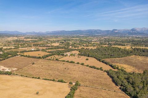 Helårsgrund i Sencelles, Mallorca, Sencelles - € 299.000 | Ref: 01BVKD189/3010 - foto 3