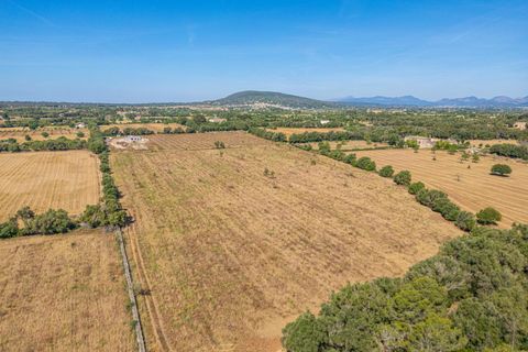 Helårsgrund i Sencelles, Mallorca, Sencelles - € 299.000 | Ref: 01BVKD189/3010 - foto 4