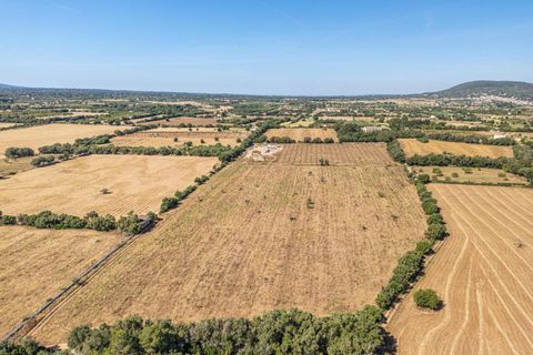 Helårsgrund i Sencelles, Mallorca, Sencelles - € 299.000 | Ref: 01BVKD189/3010 - foto 5