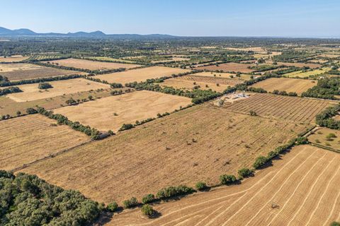 Helårsgrund i Sencelles, Mallorca, Sencelles - € 299.000 | Ref: 01BVKD189/3010 - foto 6