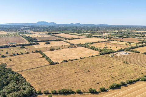 Helårsgrund i Sencelles, Mallorca, Sencelles - € 299.000 | Ref: 01BVKD189/3010 - foto 7