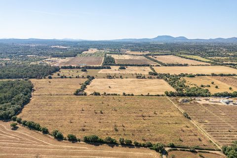 Helårsgrund i Sencelles, Mallorca, Sencelles - € 299.000 | Ref: 01BVKD189/3010 - foto 8