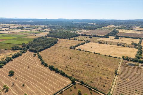 Helårsgrund i Sencelles, Mallorca, Sencelles - € 299.000 | Ref: 01BVKD189/3010 - foto 9