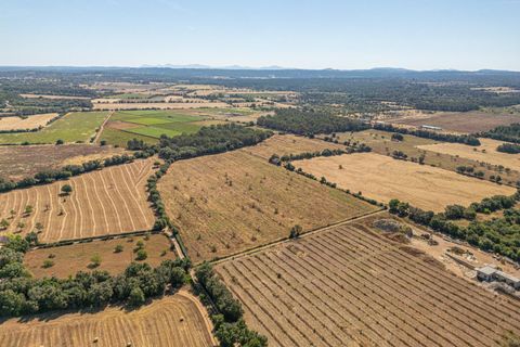 Helårsgrund i Sencelles, Mallorca, Sencelles - € 299.000 | Ref: 01BVKD189/3010 - foto 10