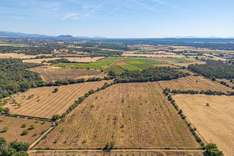 Helårsgrund i Sencelles, Mallorca, Sencelles - € 299.000 | Ref: 01BVKD189/3010 - foto 12