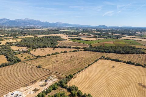 Helårsgrund i Sencelles, Mallorca, Sencelles - € 299.000 | Ref: 01BVKD189/3010 - foto 13