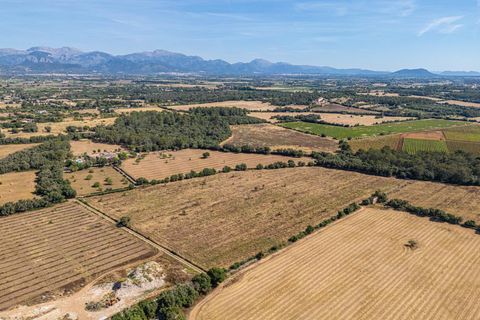 Helårsgrund i Sencelles, Mallorca, Sencelles - € 299.000 | Ref: 01BVKD189/3010 - foto 14