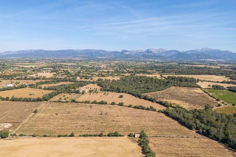 Helårsgrund i Sencelles, Mallorca, Sencelles - € 299.000 | Ref: 01BVKD189/3010 - foto 15