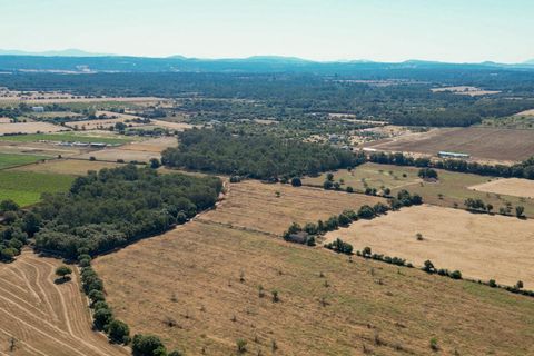 Helårsgrund i Sencelles, Mallorca, Sencelles - € 239.000 | Ref: 01BVKD187/3010 - foto 6
