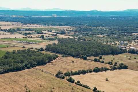 Helårsgrund i Sencelles, Mallorca, Sencelles - € 239.000 | Ref: 01BVKD187/3010 - foto 7