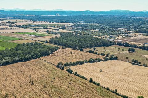 Helårsgrund i Sencelles, Mallorca, Sencelles - € 239.000 | Ref: 01BVKD187/3010 - foto 8
