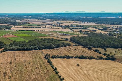 Helårsgrund i Sencelles, Mallorca, Sencelles - € 239.000 | Ref: 01BVKD187/3010 - foto 9