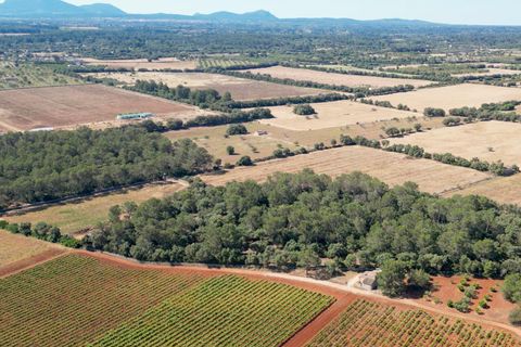Helårsgrund i Sencelles, Mallorca, Sencelles - € 239.000 | Ref: 01BVKD187/3010 - foto 10