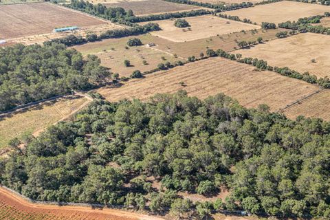 Helårsgrund i Sencelles, Mallorca, Sencelles - € 239.000 | Ref: 01BVKD187/3010 - foto 15