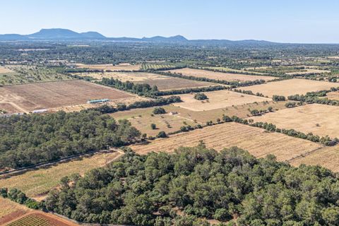 Helårsgrund i Sencelles, Mallorca, Sencelles - € 239.000 | Ref: 01BVKD187/3010 - foto 16