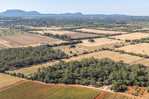 Helårsgrund i Sencelles, Mallorca, Sencelles - € 239.000 | Ref: 01BVKD187/3010 - foto 17