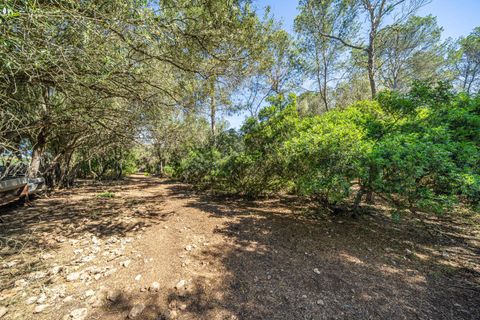 Helårsgrund i Sencelles, Mallorca, Sencelles - € 249.000 | Ref: 01BVKD188/3010 - foto 1