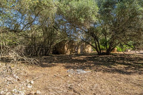 Helårsgrund i Sencelles, Mallorca, Sencelles - € 249.000 | Ref: 01BVKD188/3010 - foto 2
