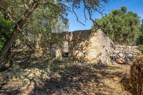 Helårsgrund i Sencelles, Mallorca, Sencelles - € 249.000 | Ref: 01BVKD188/3010 - foto 3