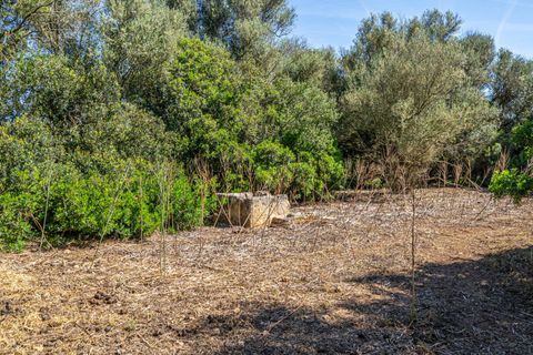 Helårsgrund i Sencelles, Mallorca, Sencelles - € 249.000 | Ref: 01BVKD188/3010 - foto 4
