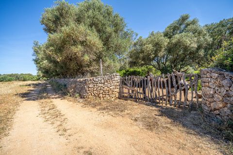 Helårsgrund i Sencelles, Mallorca, Sencelles - € 249.000 | Ref: 01BVKD188/3010 - foto 6