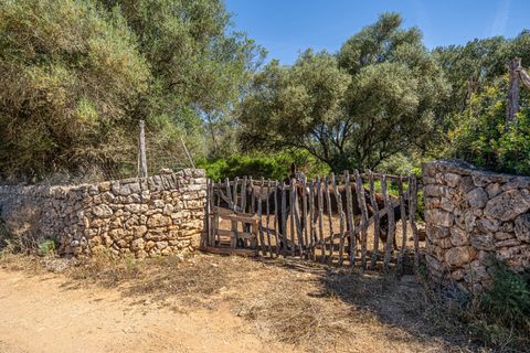 Helårsgrund i Sencelles, Mallorca, Sencelles - € 249.000 | Ref: 01BVKD188/3010 - foto 7