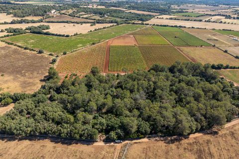 Helårsgrund i Sencelles, Mallorca, Sencelles - € 249.000 | Ref: 01BVKD188/3010 - foto 8