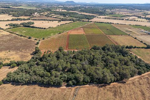 Helårsgrund i Sencelles, Mallorca, Sencelles - € 249.000 | Ref: 01BVKD188/3010 - foto 9