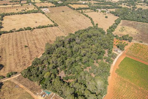 Helårsgrund i Sencelles, Mallorca, Sencelles - € 249.000 | Ref: 01BVKD188/3010 - foto 13