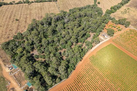 Helårsgrund i Sencelles, Mallorca, Sencelles - € 249.000 | Ref: 01BVKD188/3010 - foto 14