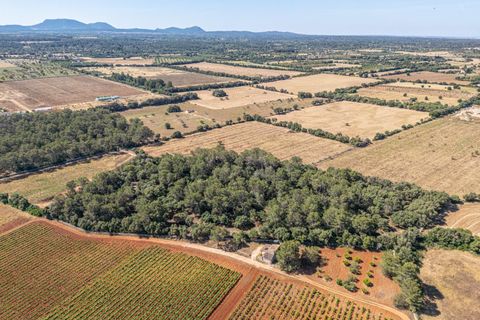 Helårsgrund i Sencelles, Mallorca, Sencelles - € 249.000 | Ref: 01BVKD188/3010 - foto 17