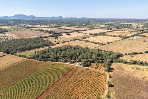 Helårsgrund i Sencelles, Mallorca, Sencelles - € 249.000 | Ref: 01BVKD188/3010 - foto 18