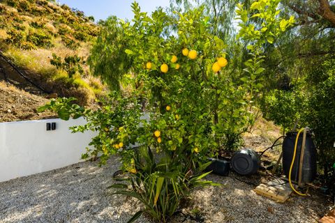 Villa i Sayalonga, Malaga, Sayalonga - € 1.350.000 | Ref: A1015/13748 - foto 47