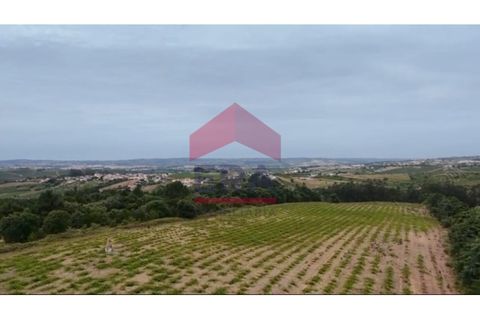 Helårsgrund i Carvalhal, Leiria, Carvalhal - € 500.000 | Ref: 150260139 - foto 2