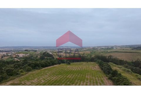 Helårsgrund i Carvalhal, Leiria, Carvalhal - € 500.000 | Ref: 150260139 - foto 4