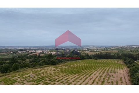 Helårsgrund i Carvalhal, Leiria, Carvalhal - € 500.000 | Ref: 150260139 - foto 5
